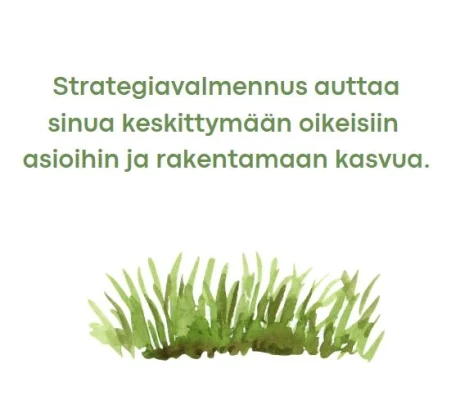 STRATEGIAVALMENNUS, KOULUTUS JA KONSULTOINTI. YRITTÄJILLE, JOTKA RAKENTAVAT KASVUA.
